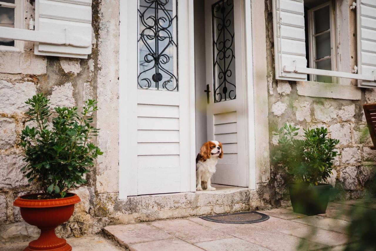 Villa White Shutters House Risan Esterno foto